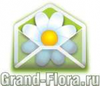 Логотип компании Доставка цветов Гранд Флора (ф-л г.Анжеро-Судженск)